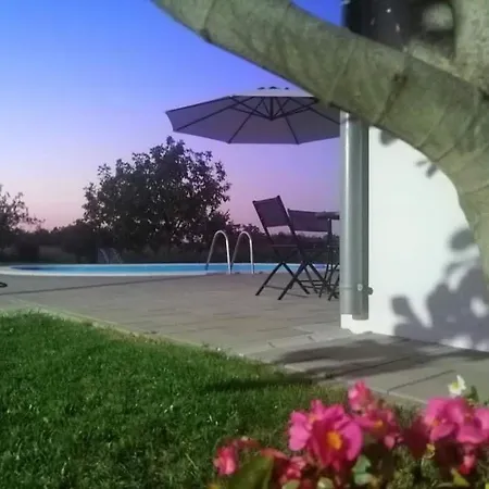 Oaza Mira * Vrazici