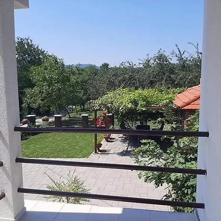 Oaza Mira * Vrazici