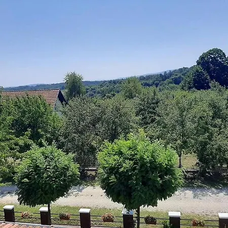 Oaza Mira * Vrazici